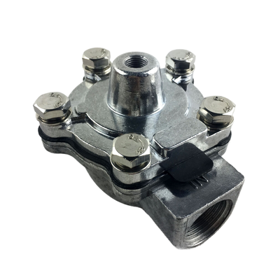 Valvola a getto a impulso tipo Goyen 3/4 pollici RCA20T RCA20T000 RCA20T001